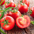 הזנים הטובים והפוריים ביותר של עגבניות לשטח פתוח ולחממות באוראל