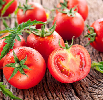 Najlepsze i najbardziej produktywne odmiany pomidorów na otwarty teren i szklarnie na Uralu