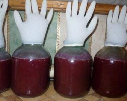 Dlaczego potrzebujesz rękawiczki na puszkę wina i jak ją prawidłowo założyć w domu