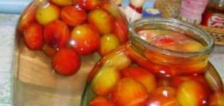 Simple step-by-step recipes for preparing compote for the winter from nectarines in a 3-liter jar