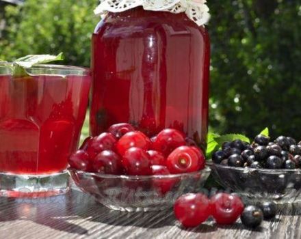 Step-by-step recipe for a delicious compote from currant and cherry for the winter
