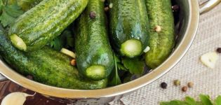 5 simple recipes for salted cucumbers with vinegar for the winter