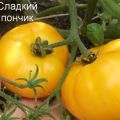 Caratteristiche e descrizione della varietà di pomodoro Ciambella dolce, la sua resa