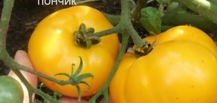 Caratteristiche e descrizione della varietà di pomodoro Ciambella dolce, la sua resa