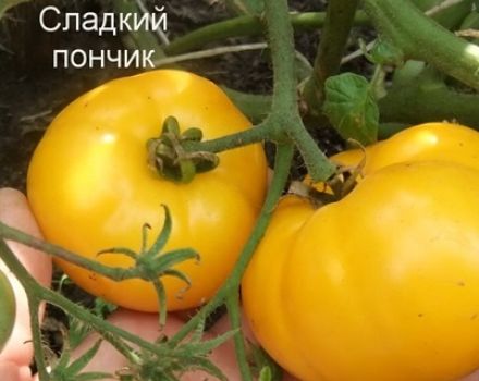Pomidorų veislės Saldžios spurgos charakteristikos ir aprašymas, derlius