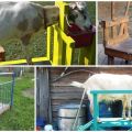 Dimensions and drawings of machines for milking goats and how to do it yourself