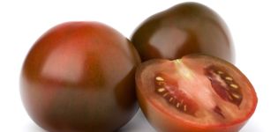 Kara Prens domates çeşidinin özellikleri ve tanımı, verimi