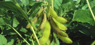 Beschreibung und Eigenschaften von Sojabohnensorten in Russland und der Welt, ultra-frühe Reifung und hohe Erträge