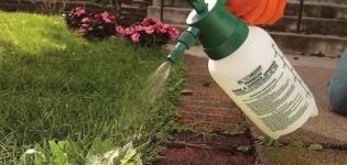 Instrucciones de uso del herbicida Lontrel contra malezas