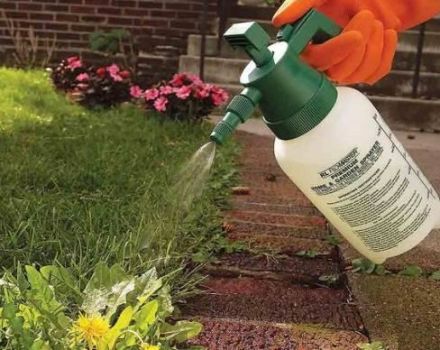 Pokyny pro použití herbicidu Lontrel proti plevelům
