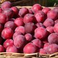 Paglalarawan ng iba't-ibang cherry plum Nahanap, teknolohiya ng pagtatanim, pangangalaga at pag-pren
