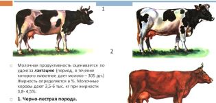 What factors affect milk production in cows and methods of determination