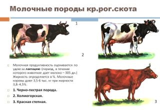 What factors affect milk production in cows and methods of determination