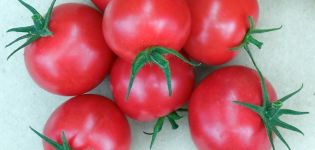 Caratteristiche e descrizione della varietà di pomodoro Verlioka, sua resa e coltivazione