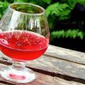 TOP 6 eenvoudige recepten om thuis wijn van watermeloen te maken