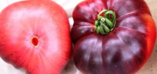 Kenmerken van tomatenrassen Azure Giant en Early Giant, beoordelingen en opbrengst