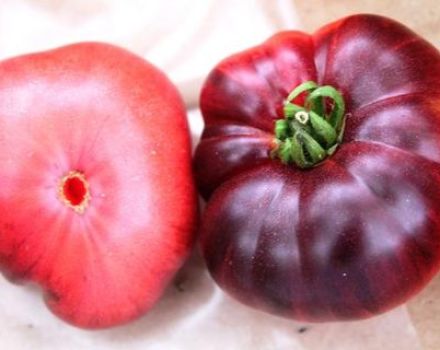 Karakteristike sorti rajčice Azure Giant i Early Giant, recenzije i prinos