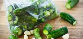 Receptes instantànies de cogombres cruixents lleugerament salats en una bossa en 5 minuts