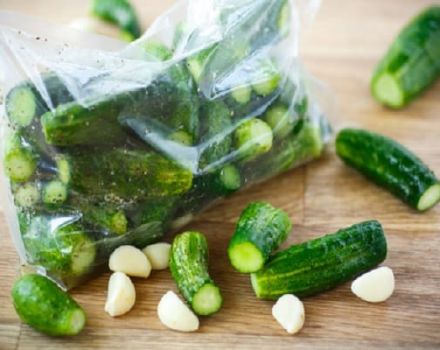 Øjeblikkelig opskrifter på sprøde let saltede agurker i en pose på 5 minutter
