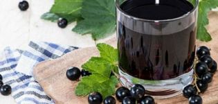 18 beste stapsgewijze recepten voor zwarte bessenblanco's voor de winter