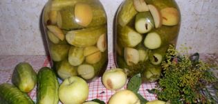 Recetas para encurtir pepinos con manzanas para el invierno.
