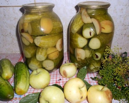 Opskrifter til pickling agurker med æbler til vinteren