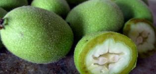 När och hur man korrekt samlar in gröna valnötter, lagringsregler