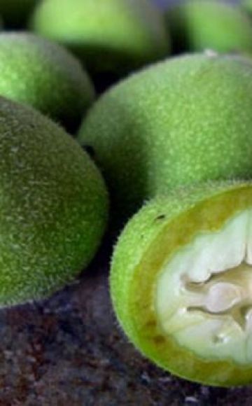 Wanneer en hoe groene walnoten op de juiste manier te verzamelen, opslagregels