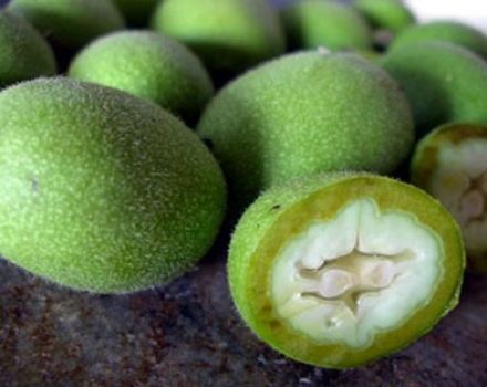 Kedy a ako správne zbierať zelené vlašské orechy, pravidlá skladovania