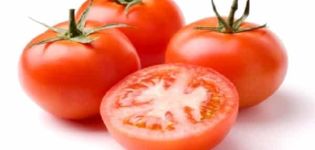 Penerangan mengenai permata tomato, ciri dan produktiviti