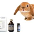 What vitamins are needed for rabbits and what are they contained, TOP 6 drugs