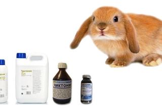 What vitamins are needed for rabbits and what are they contained, TOP 6 drugs