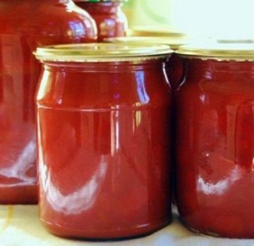 Recepten voor ketchup met appels voor de winter thuis lik je aan je vingers
