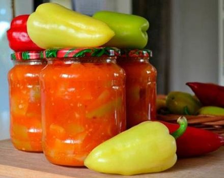 9 meilleures recettes étape par étape pour faire du poivre à la tomate pour l'hiver