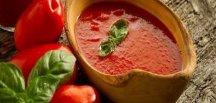 TOP 17 opskrifter på tomat tomatsaus derhjemme om vinteren