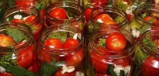 Varför tomater spricker när de saltas och hur man löser problemet