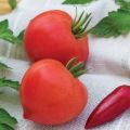 Características y descripción de la variedad de tomate Donskoy f1.