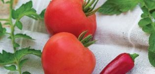 Charakteristiky a opis odrody paradajok Donskoy f1