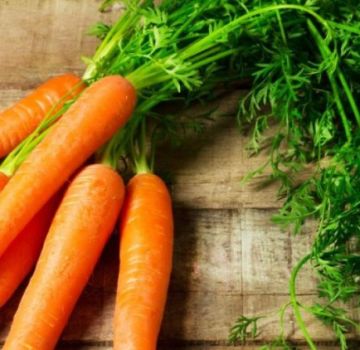 Por que as cenouras são crespas e o que fazer, remédios e métodos populares
