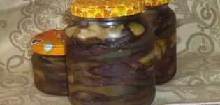 10 beste recepten voor het koken van aubergine met knoflook voor de winter
