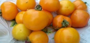 Descripción de la variedad de tomate Piña, características de cultivo y cuidado.