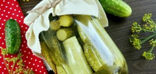 Egyszerű és ízletes receptek az uborka pácolásához cukkini télen
