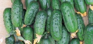 Beschrijving van de komkommervariëteit Wees gezond, de kenmerken en de teelt ervan