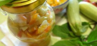 7 köstliche Rezepte zum Marinieren von Zucchini mit Karotten für den Winter