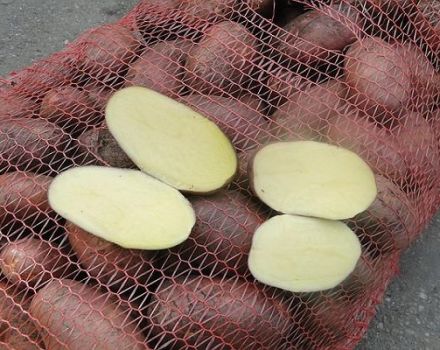 Descrizione della varietà di patate Irbitsky, raccomandazioni per la coltivazione e la resa
