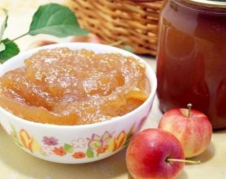 12 best recipes for making amber apple slices for the winter