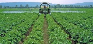 Paglalarawan ng pinakamahusay na fungicides para sa patatas at mga patakaran ng aplikasyon