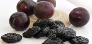 How to properly dry plums at home with your own hands, TOP ways to make prunes