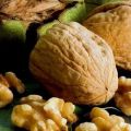 20 mejores variedades de nueces con descripción y características