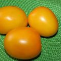 Opis i karakteristike sorte rajčice Zlatna jaja